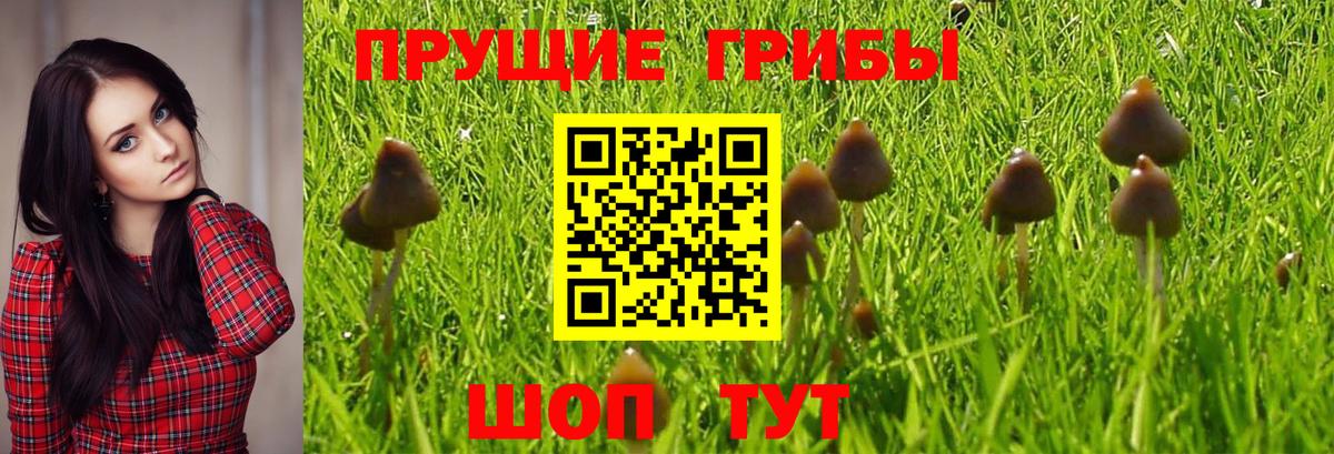 Галлюциногенные грибы Magic Shrooms Дзержинский